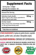 Swan Life Essentials Garlic and Parsley Odorless Capsules - 300 Count - image 2