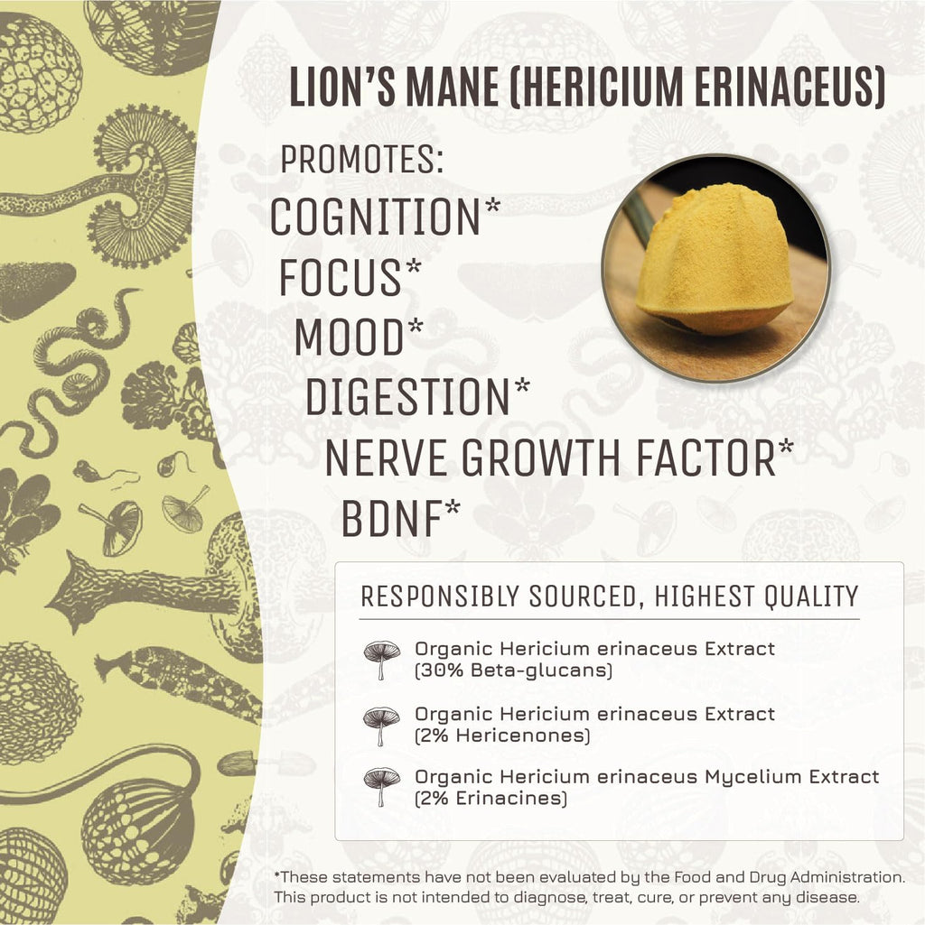 Hamilton's Lucid Lion’s Mane