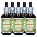 Herbal Terra LLC Caraway (Carum Carvi) Tincture