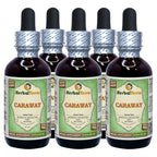 Herbal Terra LLC Caraway (Carum Carvi) Tincture
