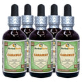 Herbal Terra LLC Caraway (Carum Carvi) Tincture