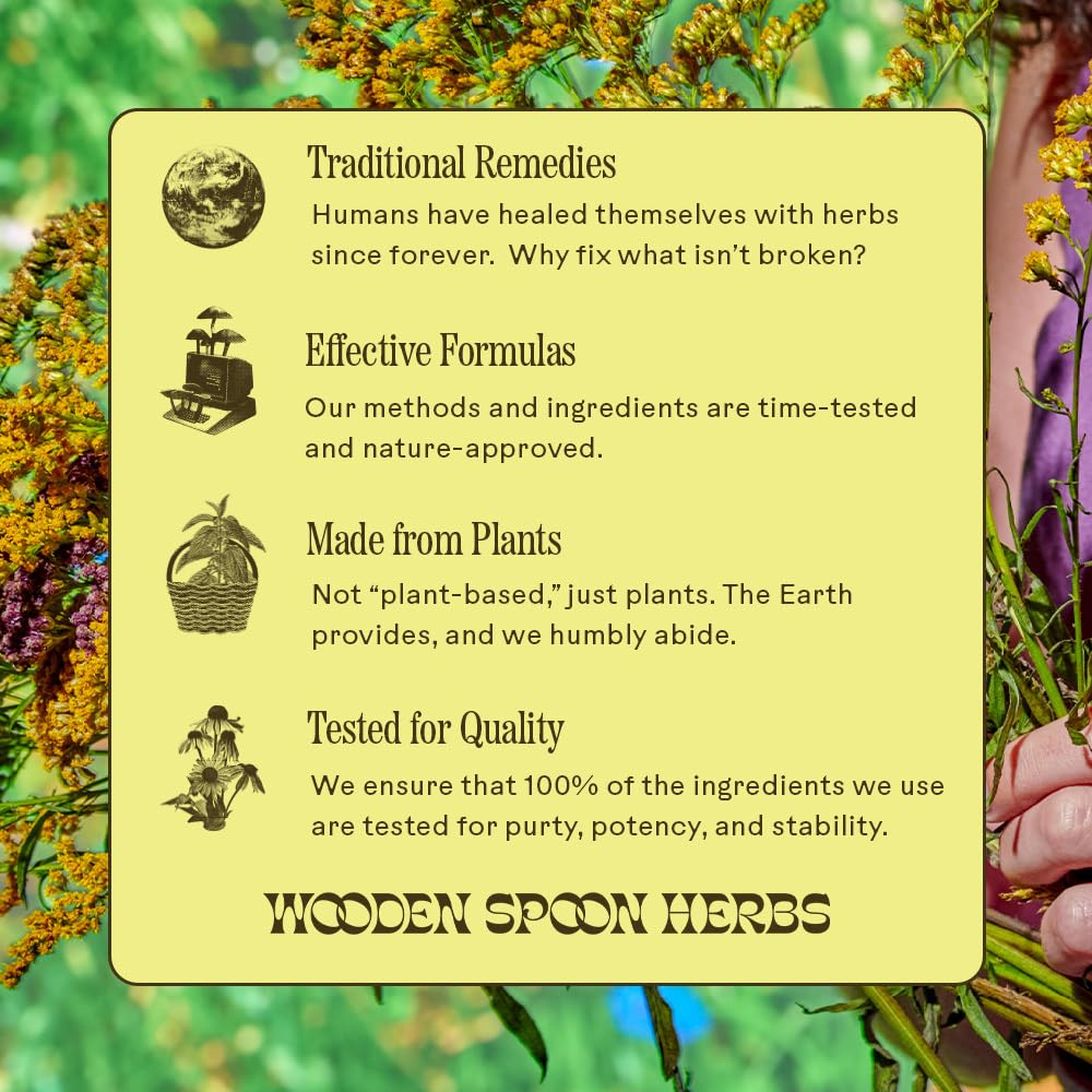 Wooden Spoon Herbs Lemon Ginger Immune Toddy - 10 Sachets - image 9