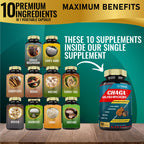 Tenmido Chaga Mushroom Extract 9-Ingredient Blend - 90 Capsules - image 2