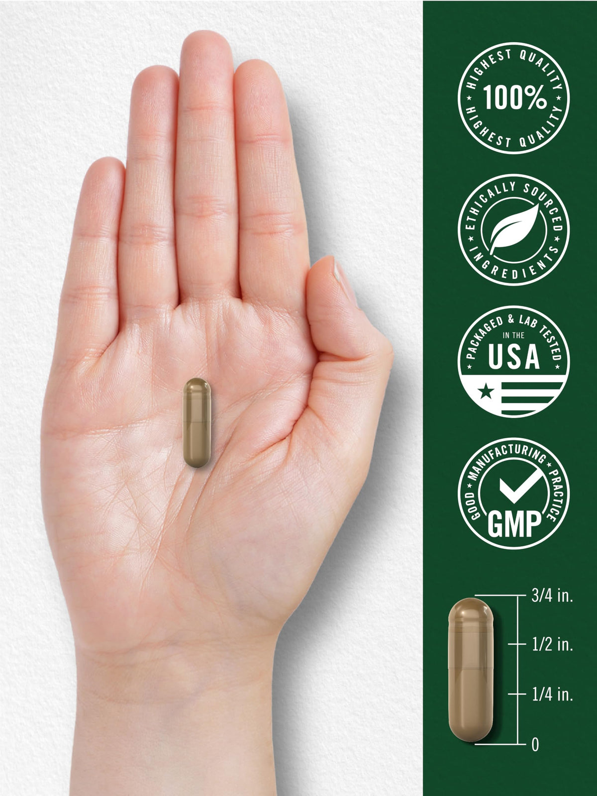 Carlyle Mulberry Leaf Extract - 100 Capsules - image 7