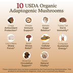 Nourishing Nutrients 10 Mushroom Supplement Powder - 60g - image 8