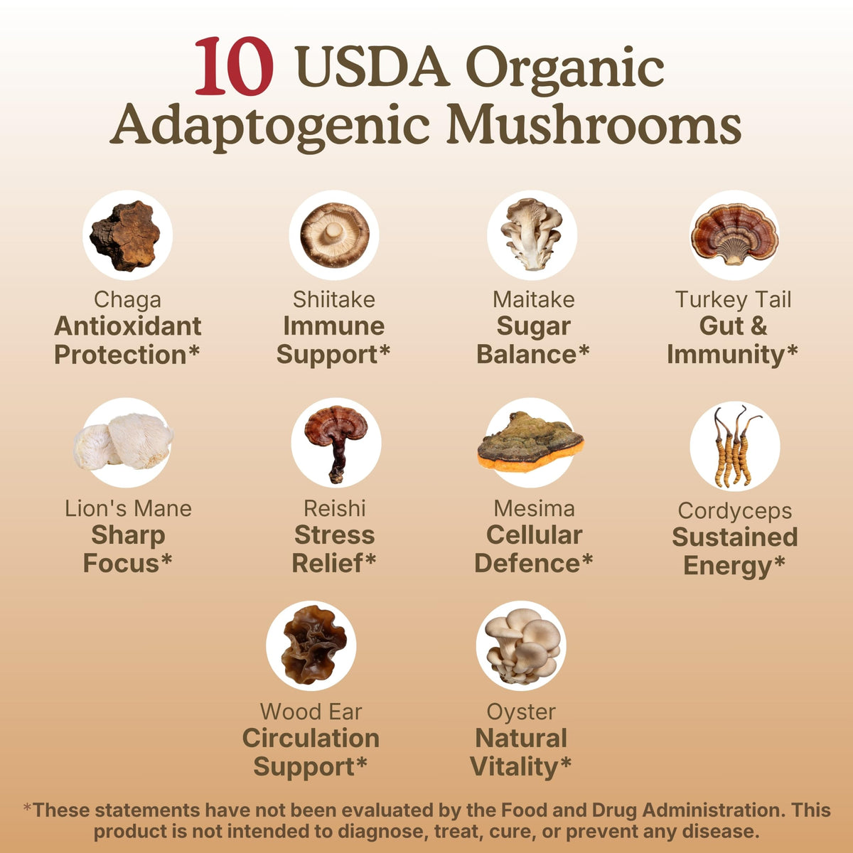 Nourishing Nutrients 10 Mushroom Supplement Powder - 60g - image 8