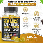Nutravia Sea Moss, Black Seed Oil & Ashwagandha Gummies - 60 Gummies - image 2