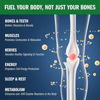 Biotek Pro-Cal Calcium Supplement for Bone Health - 240 Capsules - image 5