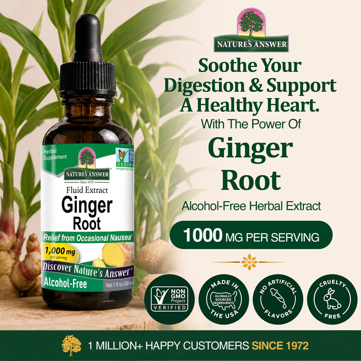 Nature's Answer Alcohol-Free Ginger Root Extract 1000mg - 1 Fl Oz - image 2