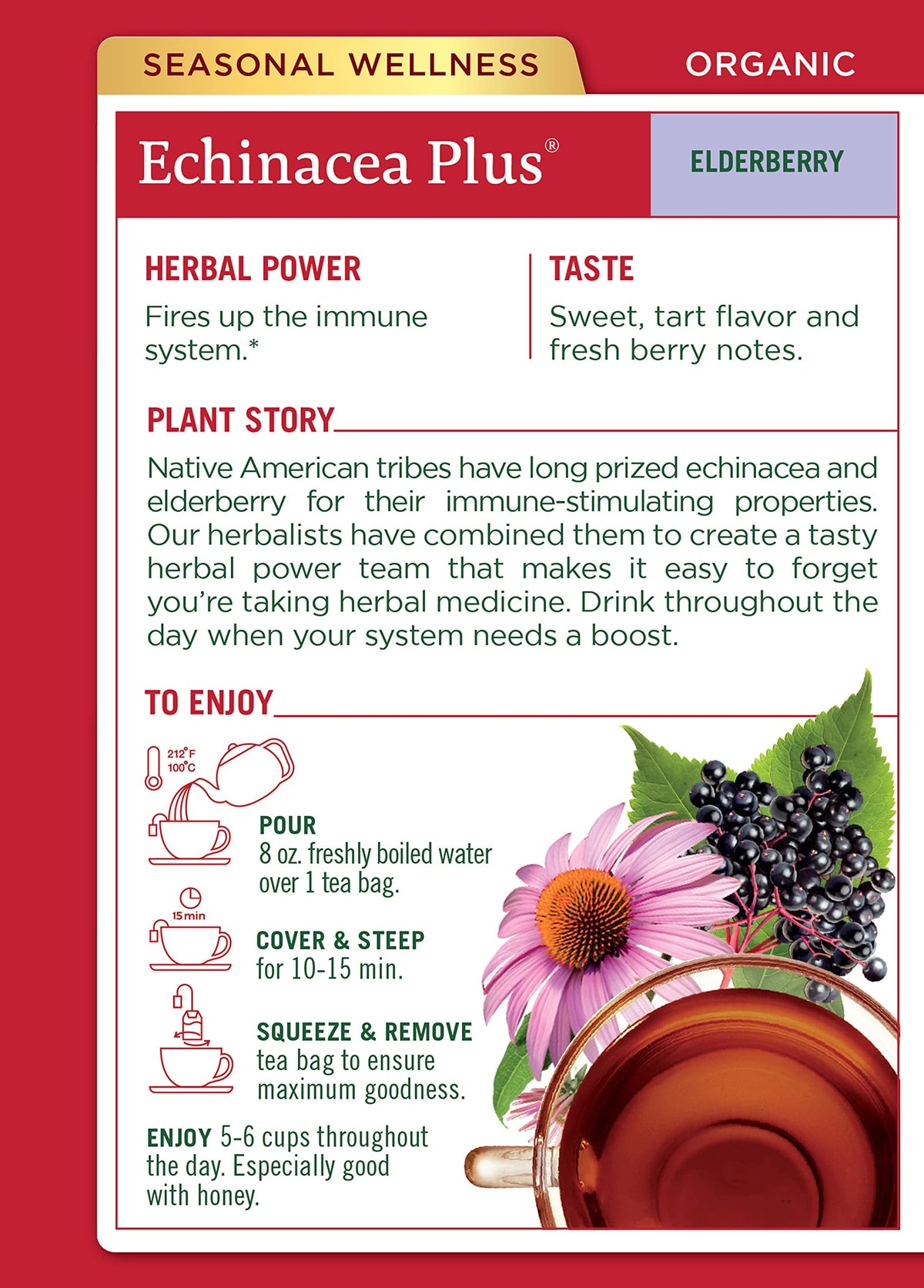 Traditional Medicinals Organic Echinacea Plus Elderberry Tea - 16 Bags - image 2
