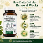 PRISTINE'S Age Renewal Senolytic Autophagy Capsules - 90 Count - image 4