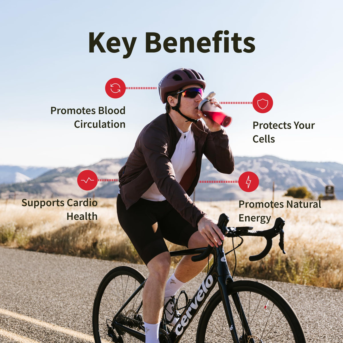 Snap Supplements USDA Organic Beet Root Powder