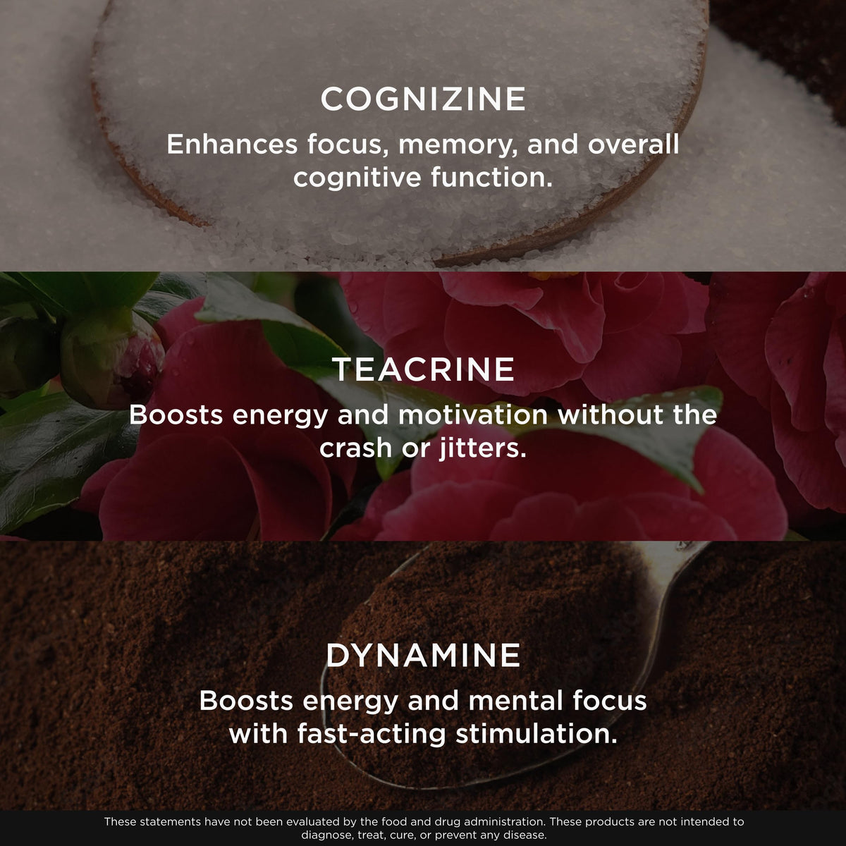 The Genius Brand Genius Gamer Nootropic Gaming Focus Supplement - 80 Capsules - image 6