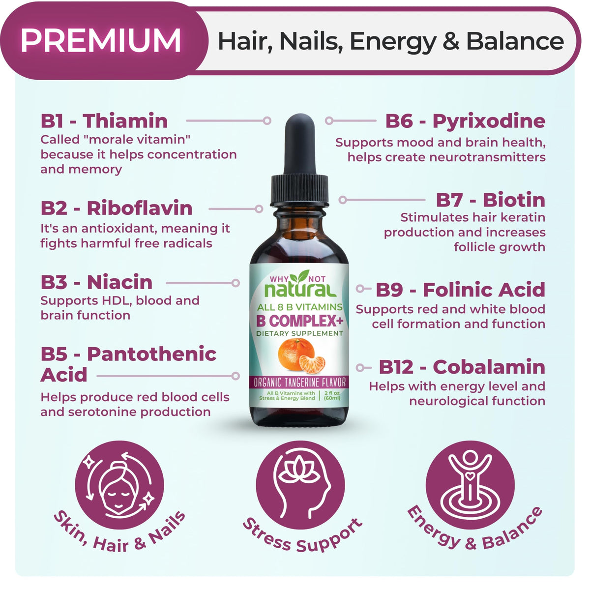 Why Not Natural Vitamin B Complex Liquid Drops for Energy Support - 2 Fl Oz - image 2