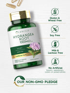 Carlyle Hydrangea Root Extract - 100 Capsules - image 4