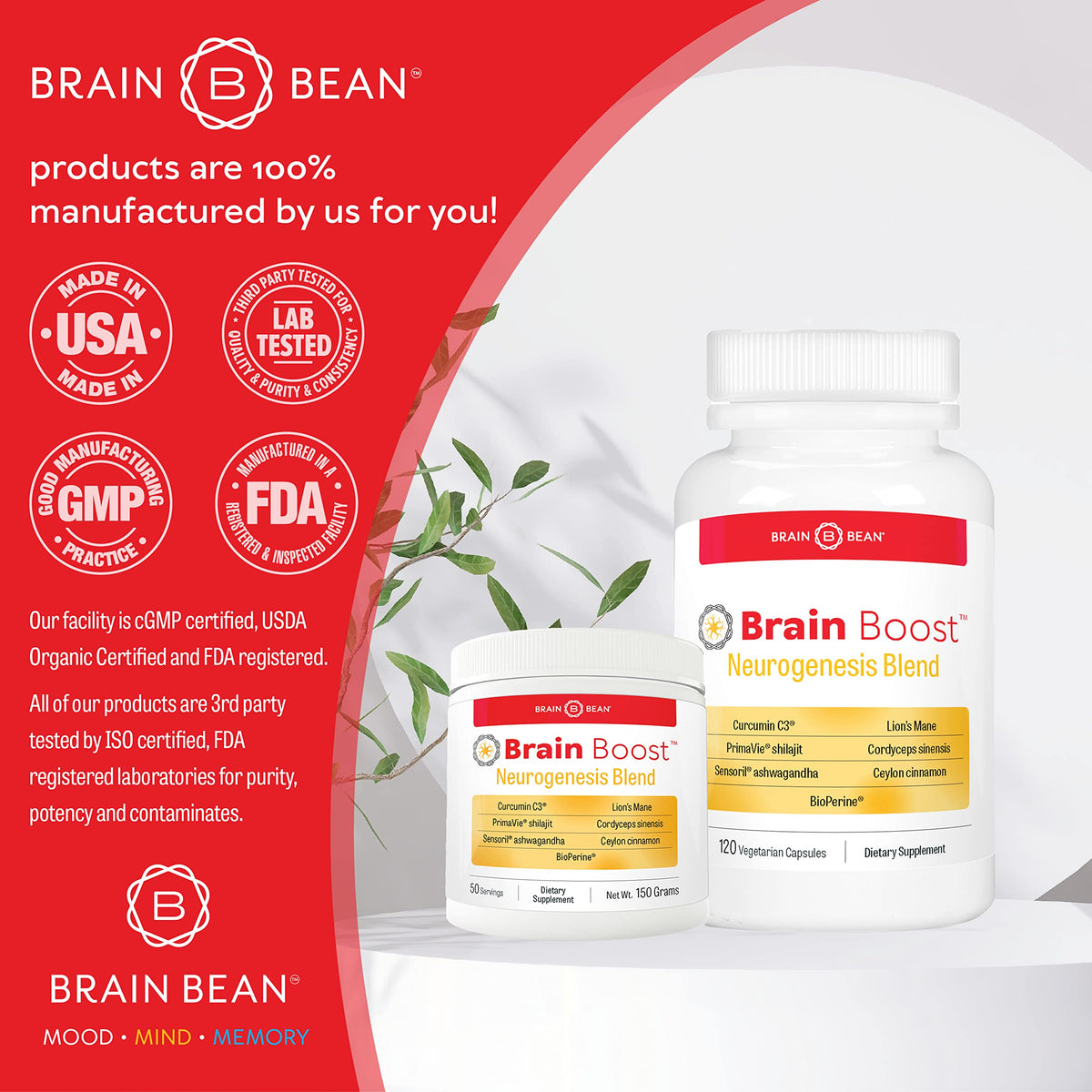 Brain Bean Brain-Boost Powder for Memory Support - 5.29 oz - image 5