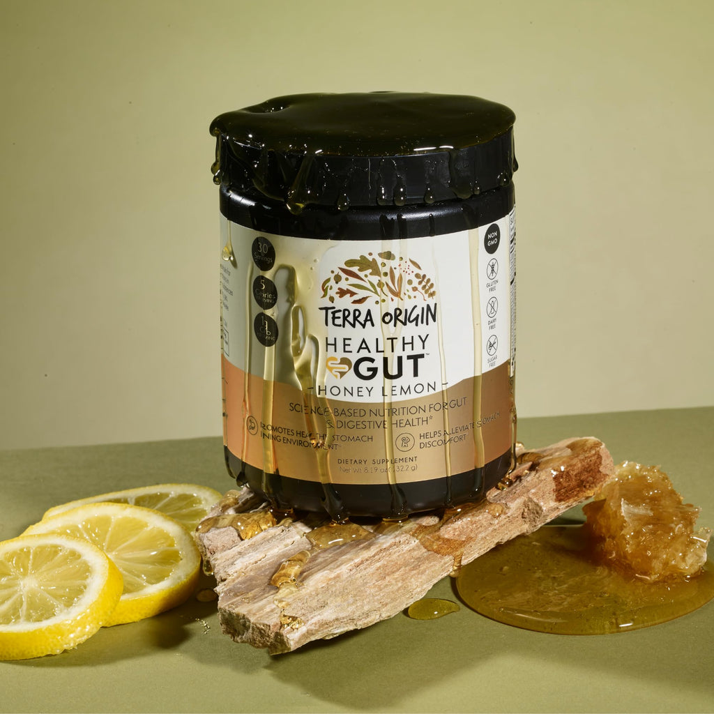 TERRA ORIGIN Healthy Gut with L-Glutamine