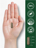 Carlyle Wild Lettuce Extract - 200 Capsules - image 7