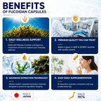 FINE JAPAN Fucoidan Capsules with Mekabu Seaweed - 30 Capsules - image 3
