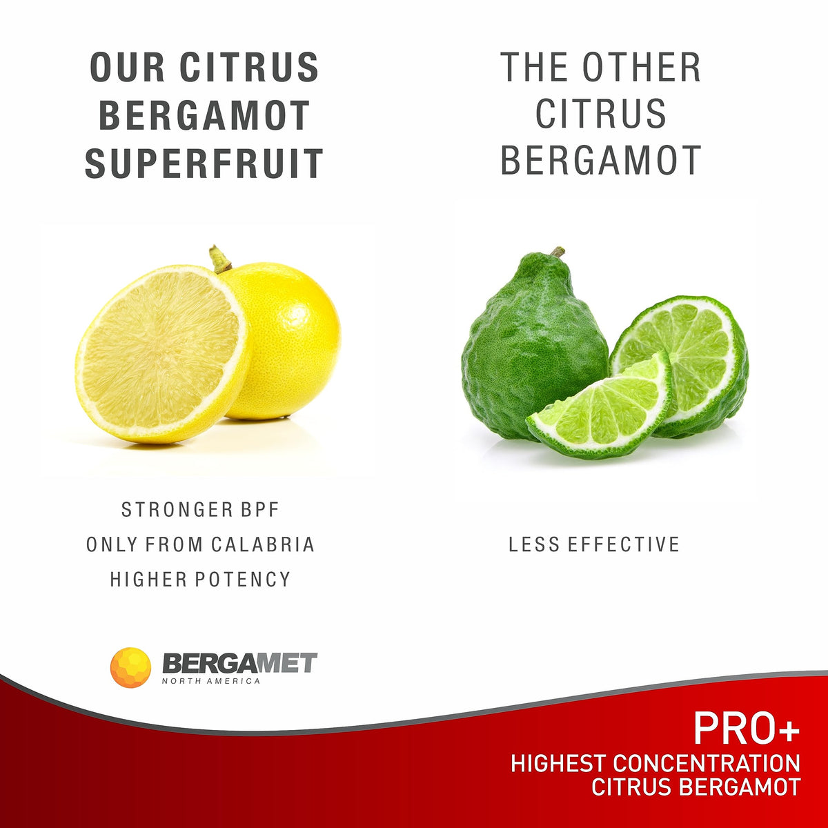 BergaMet HERBAL_SUPPLEMENT