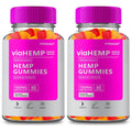 Vitavault Via Hemp Advanced Formula Gummies - 120 Count