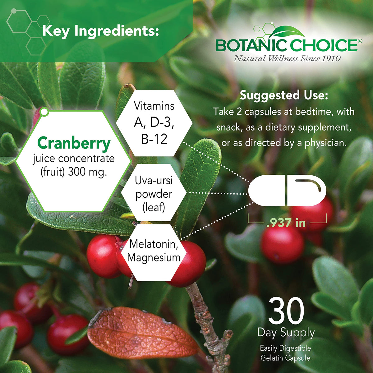 Botanic Choice Pro-Advanced Urinary Formula Bladder Supplement - 60 Capsules - image 3
