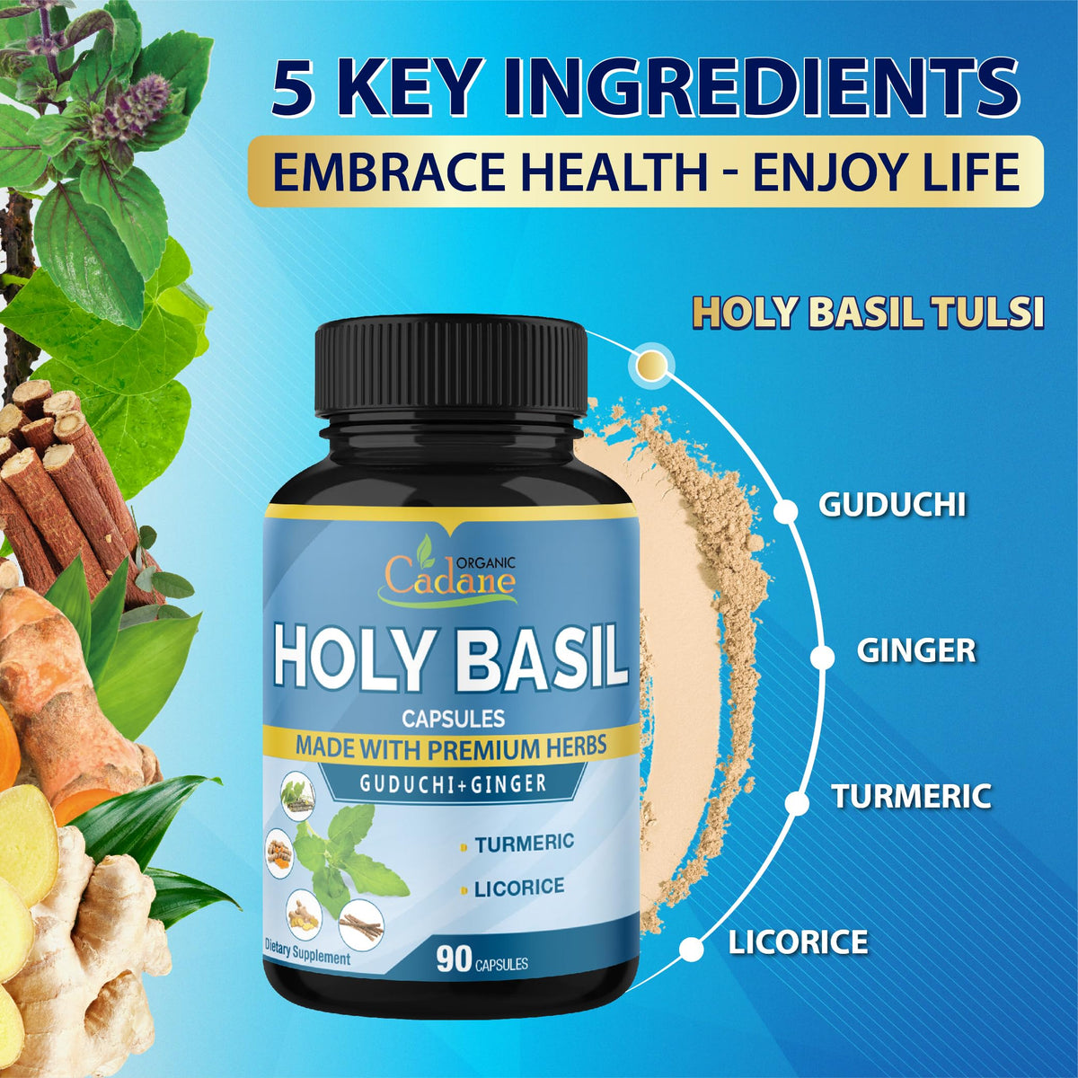 Organic Cadane Holy Basil Supplements with Turmeric & Ginger - 90 Capsules - image 5