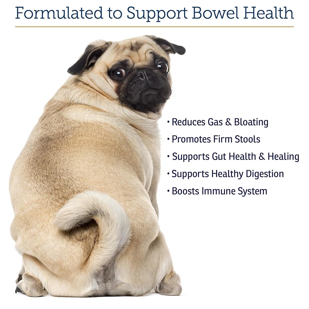 Rx Vitamins NutriGest Probiotic Powder for Cats & Dogs - 4.65oz - image 4