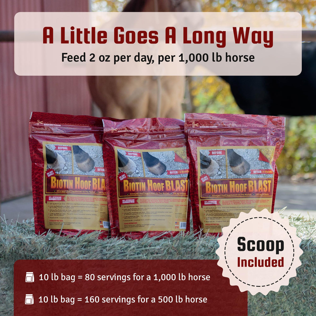 Horse Guard Biotin Hoof Blast Supplement - 80 Servings - image 4