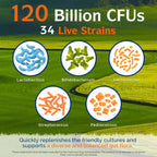 Innate Vitality Probiotics 120 Billion CFUs Digestive Health - 30 Capsules - image 3