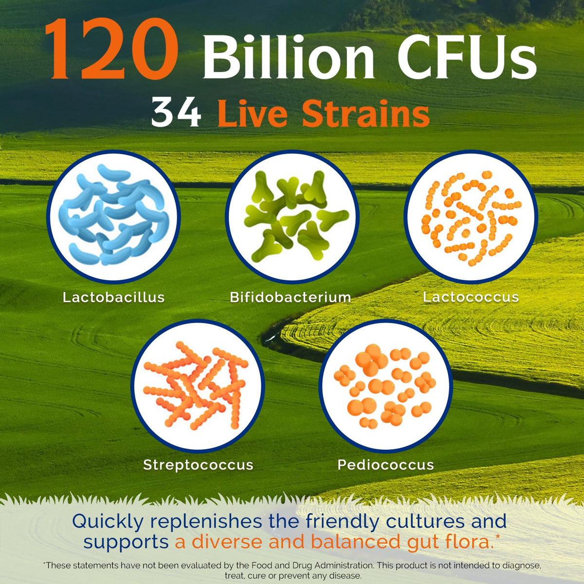 Innate Vitality Probiotics 120 Billion CFUs Digestive Health - 30 Capsules - image 3
