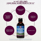 WishGarden Herbs Chlorophyll & Friends Energy & Immune Tincture - 2 oz - image 3