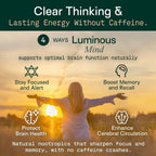 Adapt Naturals Luminous Mind Nootropic Brain Supplement with Ginkgo