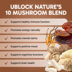 Clinical Effects Mushroom Formula 10 Brain Support - 60 Vegetarian Capsules - image 3