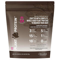 All In Nutritionals EZ Plant Protein Powder Chocolate - 19.4 oz