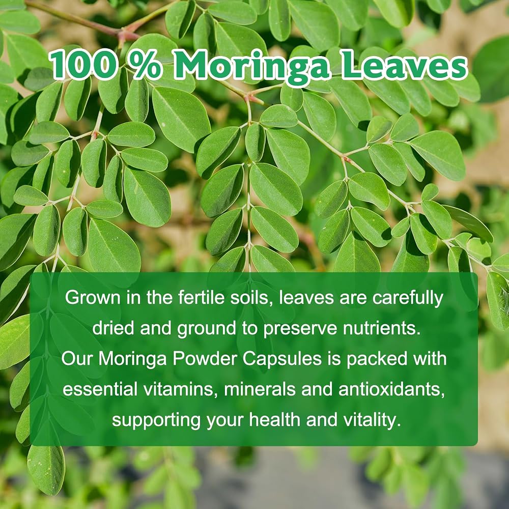 Balincer Moringa Capsules Natural Green Superfood - 120 Vegetarian Capsules - image 5