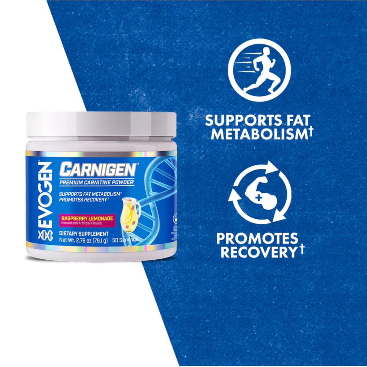 Evogen Carnigen - Premium Carnitine Powder