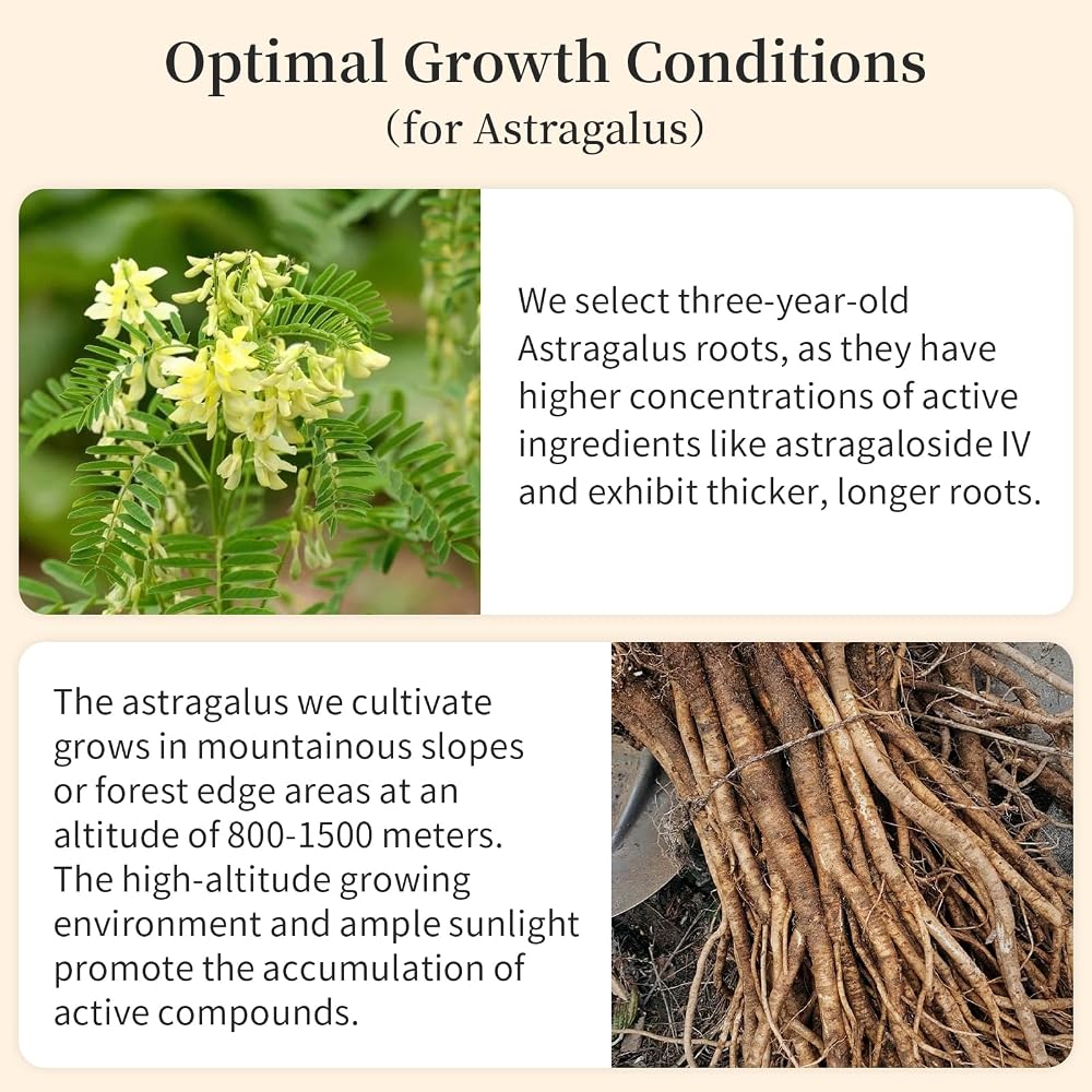 Wanhua Hall Astragalus Root Slices Tea Huang Qi - 200g - image 4