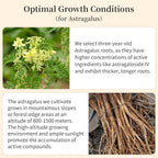 Wanhua Hall Astragalus Root Slices Tea Huang Qi - 200g - image 4