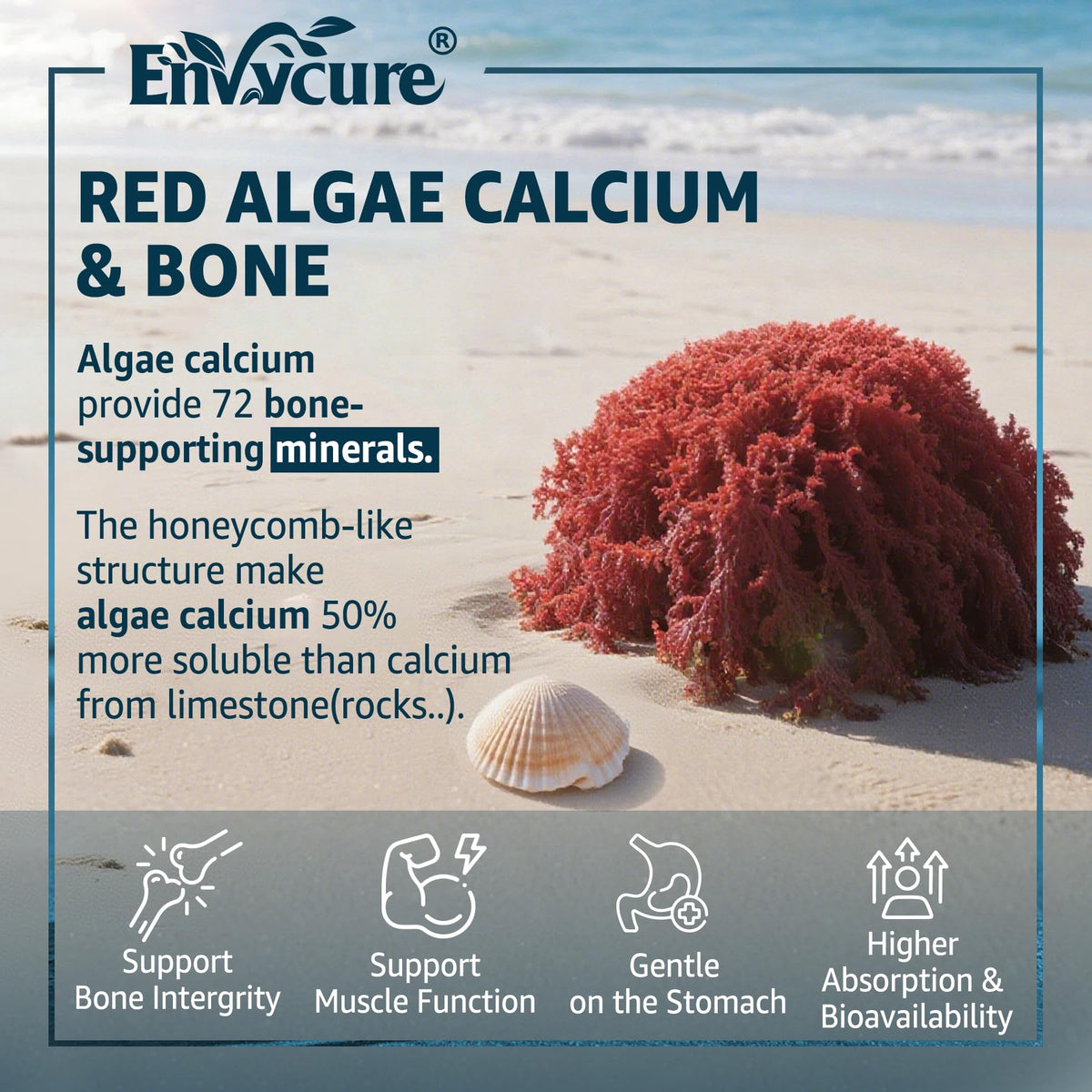 EnvyCure Calcium Gummies with Vitamin D3 K2 Magnesium - 120 Count - image 3