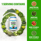 Orgain Organic Vegan Protein Powder + Greens