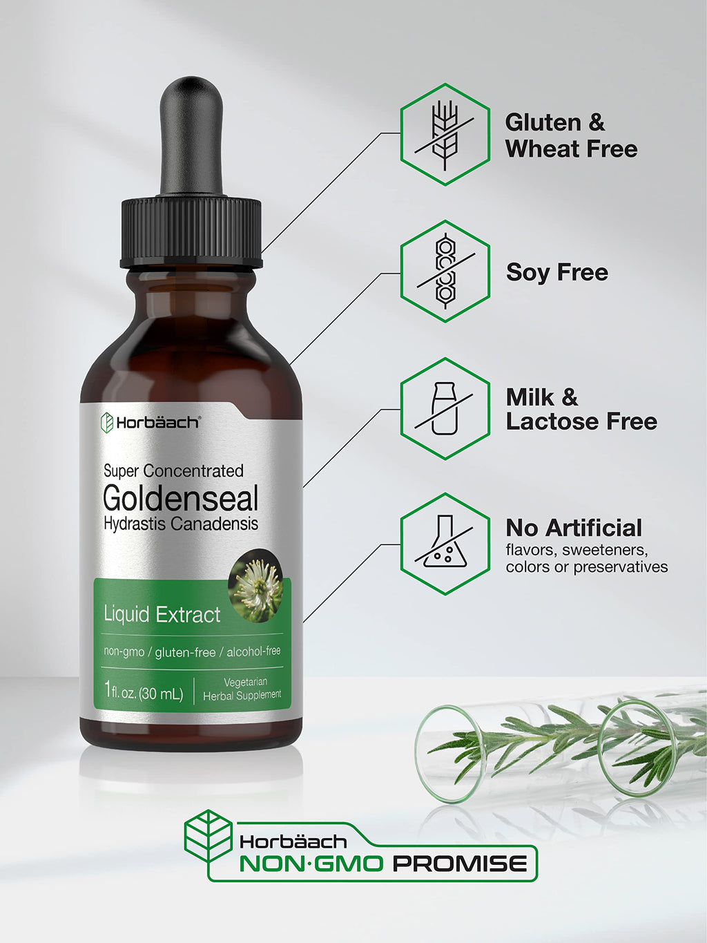 Horbäach Goldenseal Root Tincture Liquid Extract - 1 fl oz - image 4