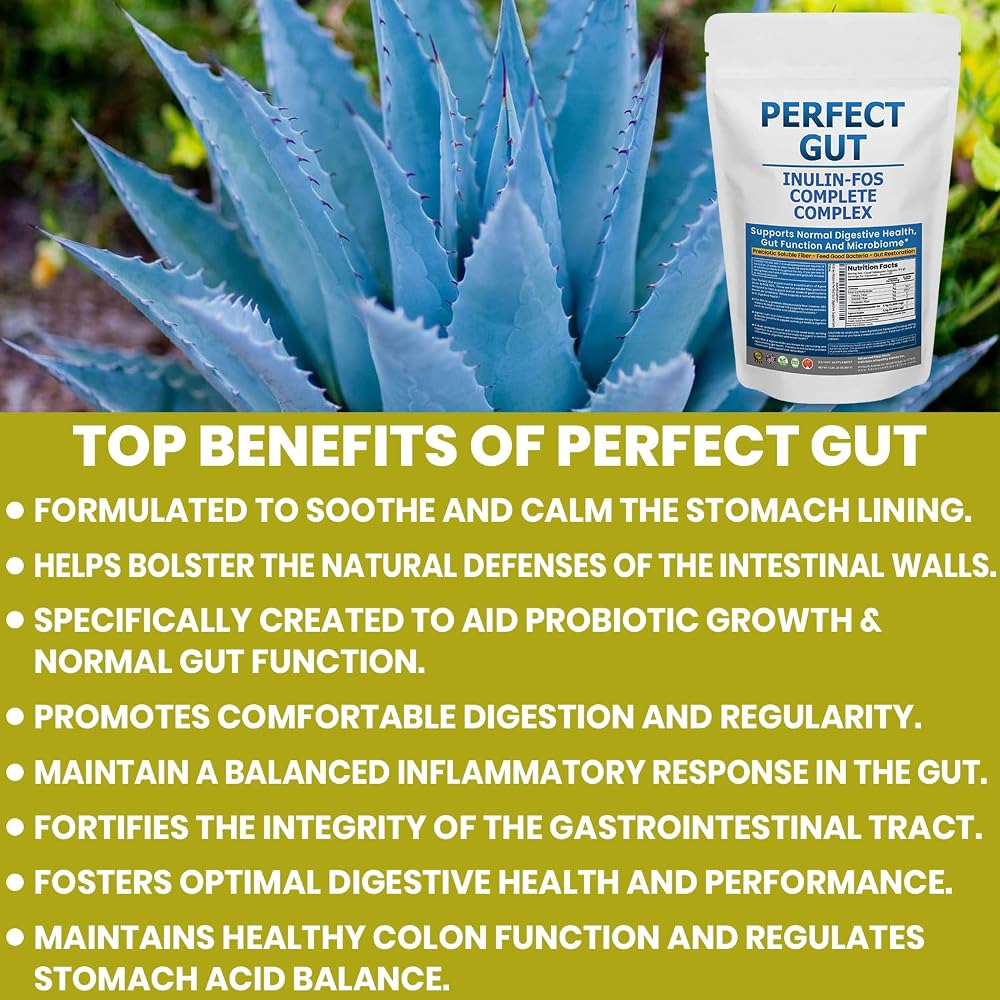 Kidney Restore Perfect Gut Inulin FOS Powder - 2 Pound - image 3