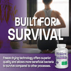 Bronson Brain + Mood Probiotic 50 Billion CFU - 60 Capsules - image 4