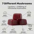 Stay Wyld Organics Super 7 Immunity+ Mushroom Gummies - 30 Count - image 2