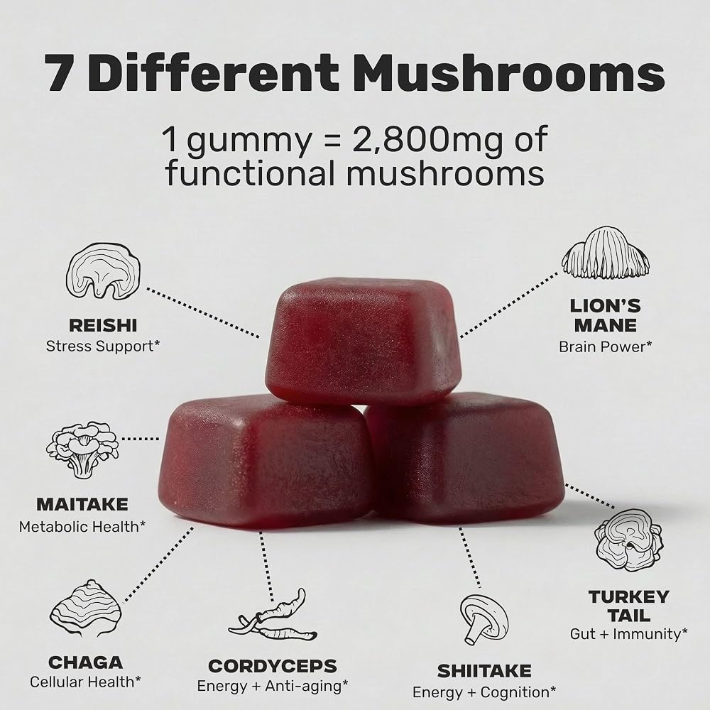 Stay Wyld Organics Super 7 Immunity+ Mushroom Gummies - 30 Count - image 2