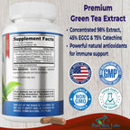 YUMMYVITE Green Tea Extract 98% Super Antioxidant - 60 Capsules - image 2