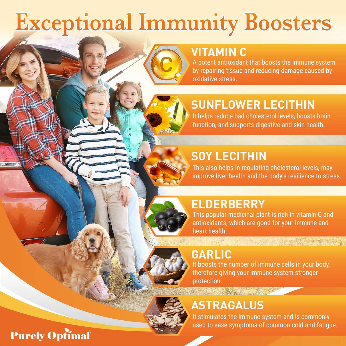 Purely Optimal Vitamin C 1000mg Liposomal Formula - 90 Capsules - image 5