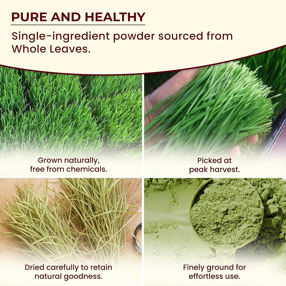 Darsa Organics Wheatgrass Powder - 1 lb - image 5