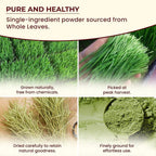 Darsa Organics Wheatgrass Powder - 1 lb - image 5